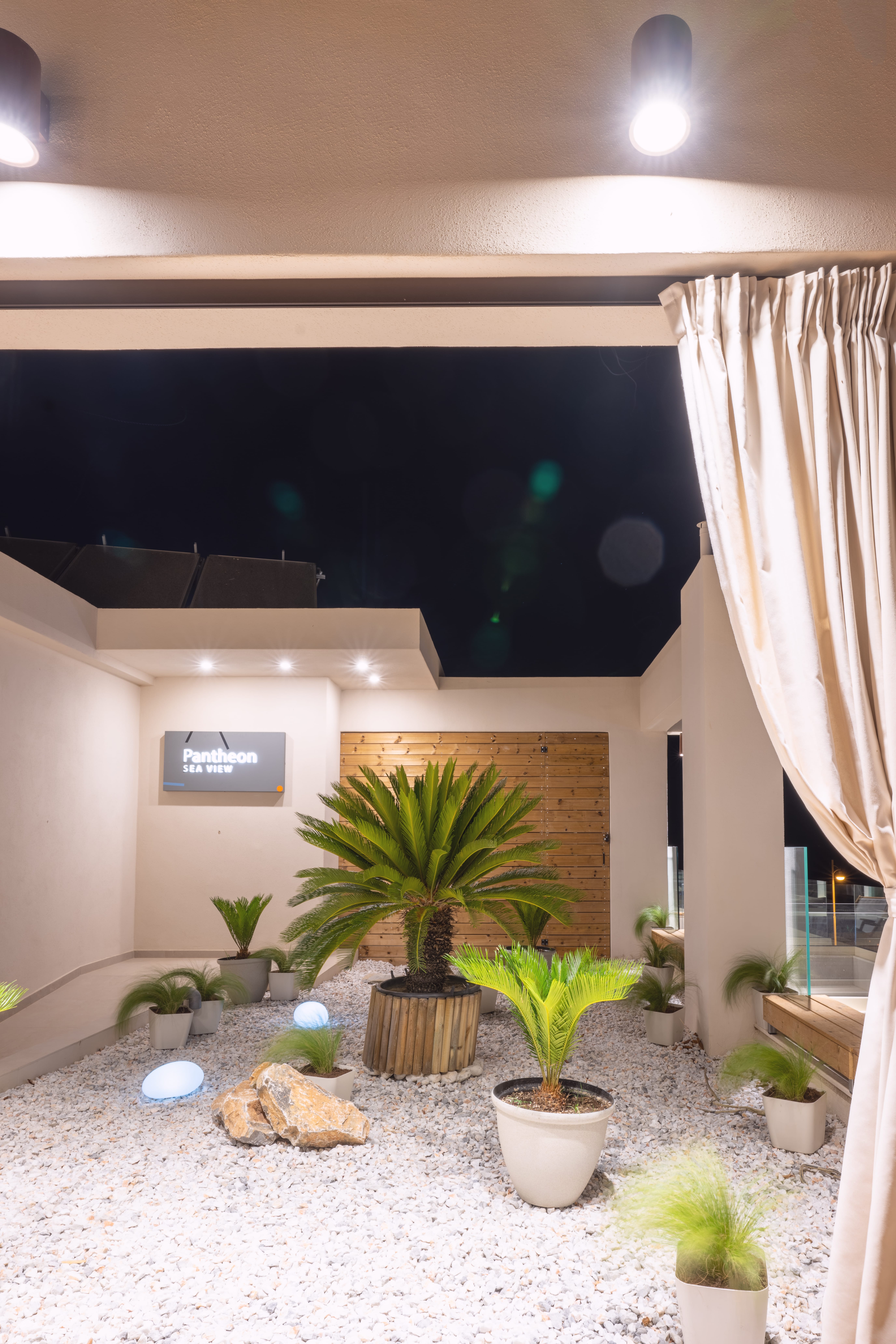 a room with plants and a tv