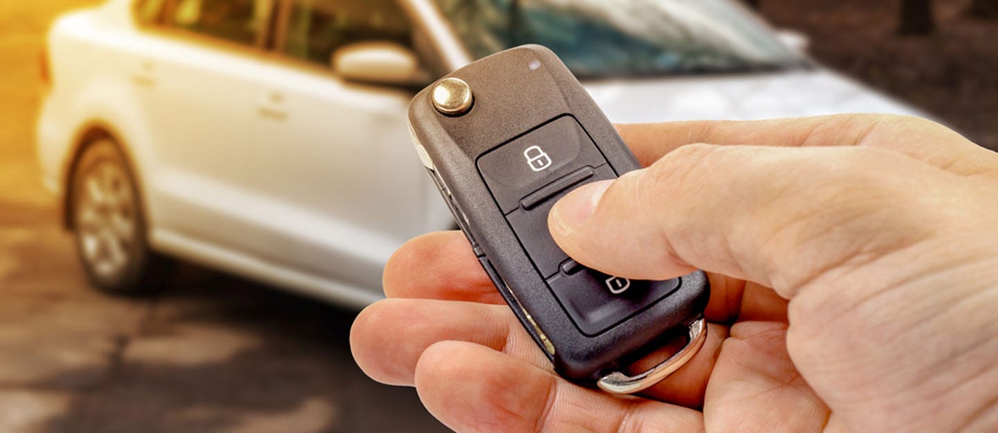 a person holding a cell phone