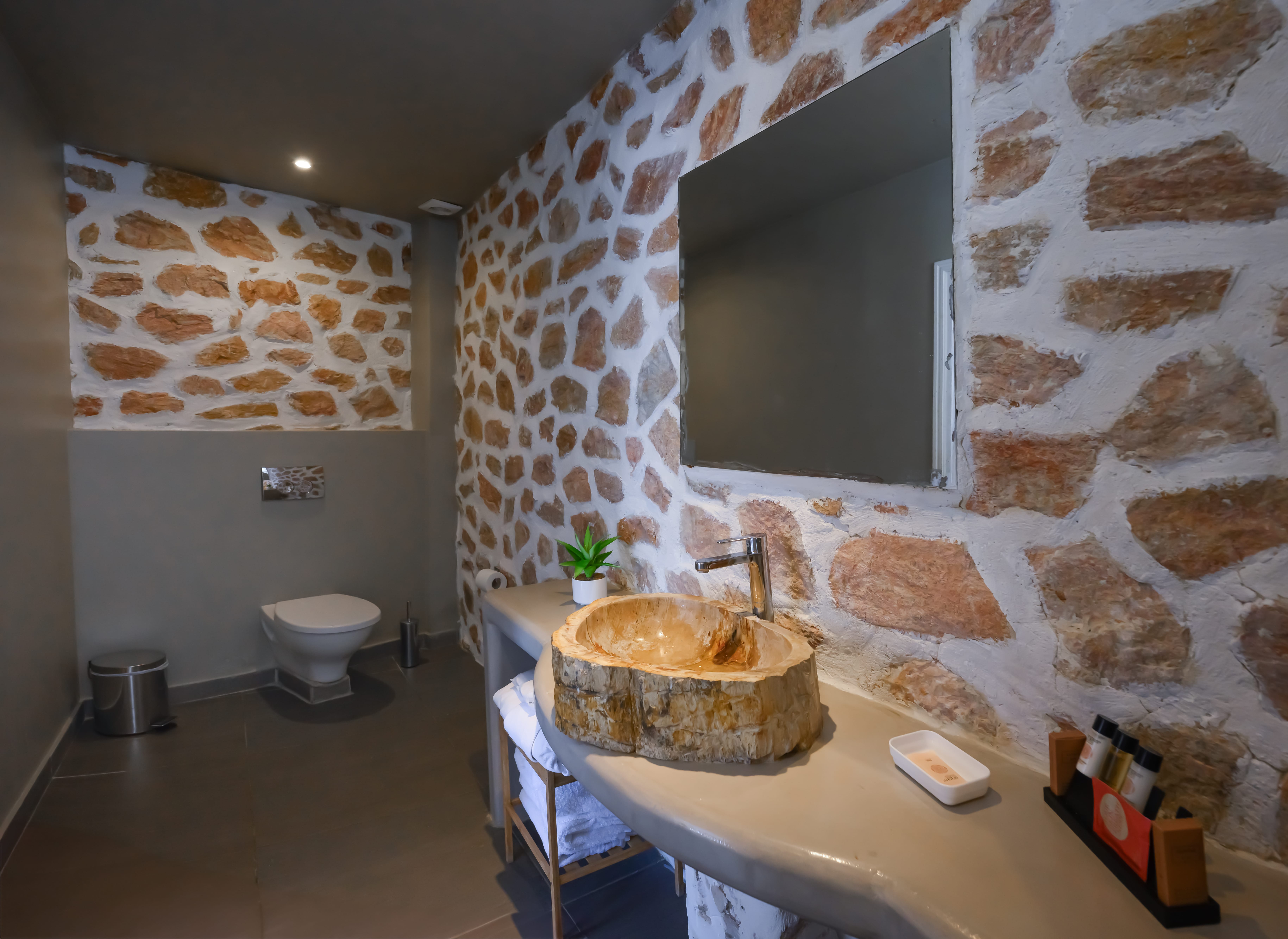 a bathroom with a sink and a toilet