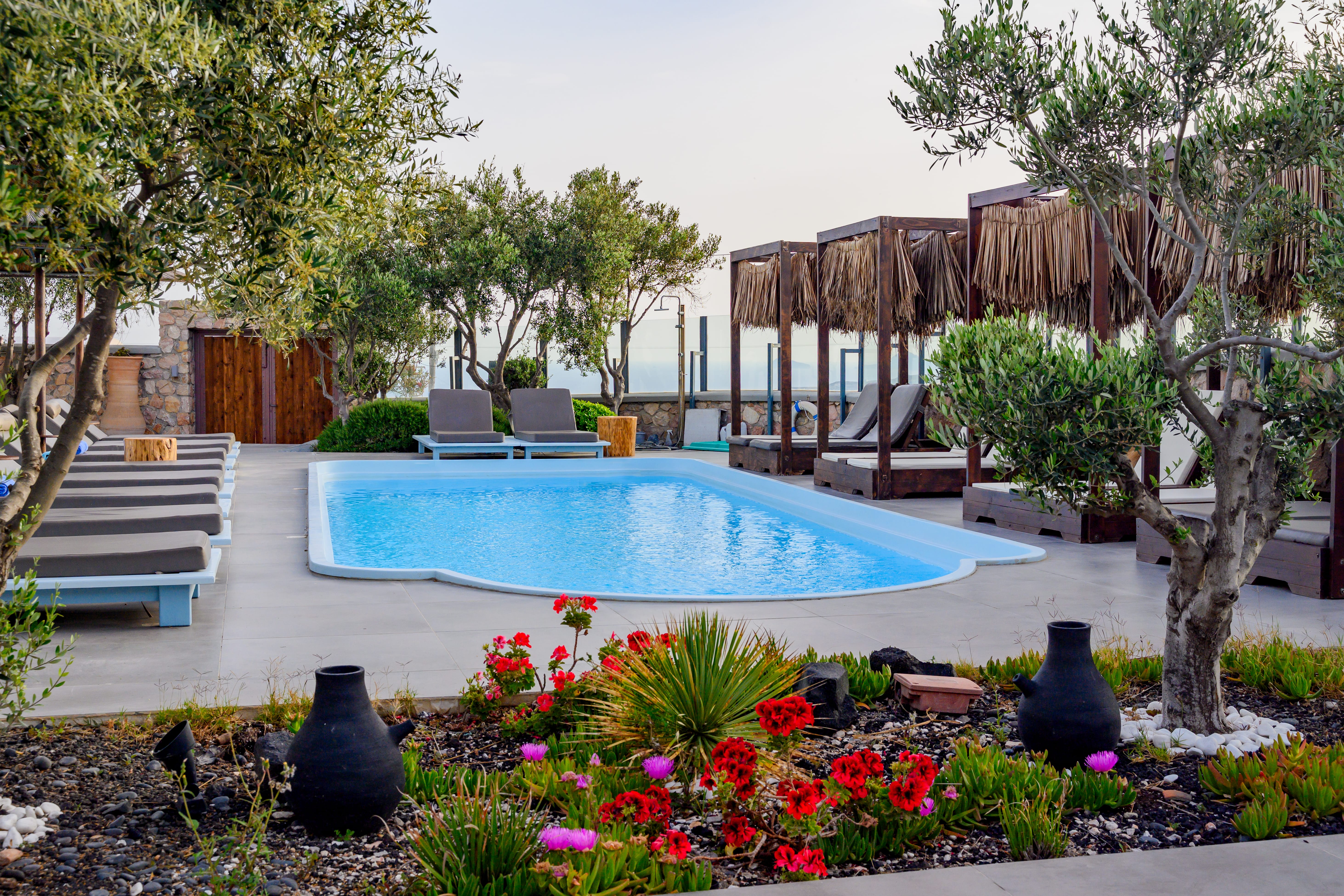 a swimming pool with flowers and trees