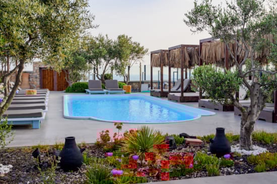 a swimming pool with flowers and trees
