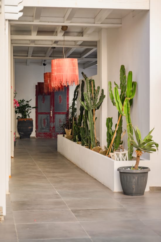a room with a red curtain and potted plants
