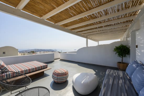 a room with a couch and a table with a plant on it