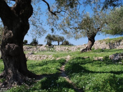 μονοπατι-4_αρταβανησ-10357712_1564792230455522_6955486543741711435_o