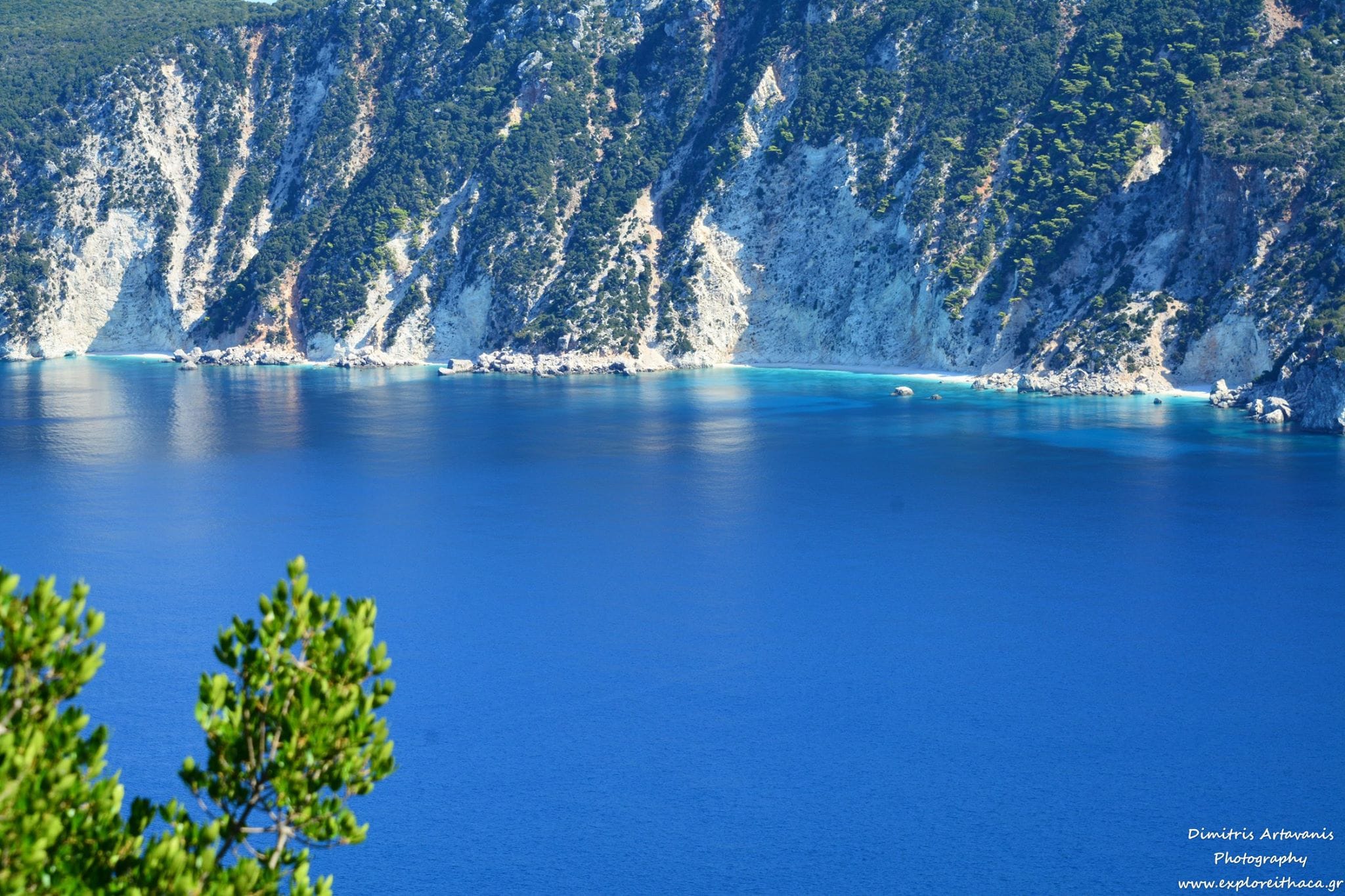 1-πλατυναμμοσ-αρταβανησ-22135408_1960321017569306_3749638793150944410_o