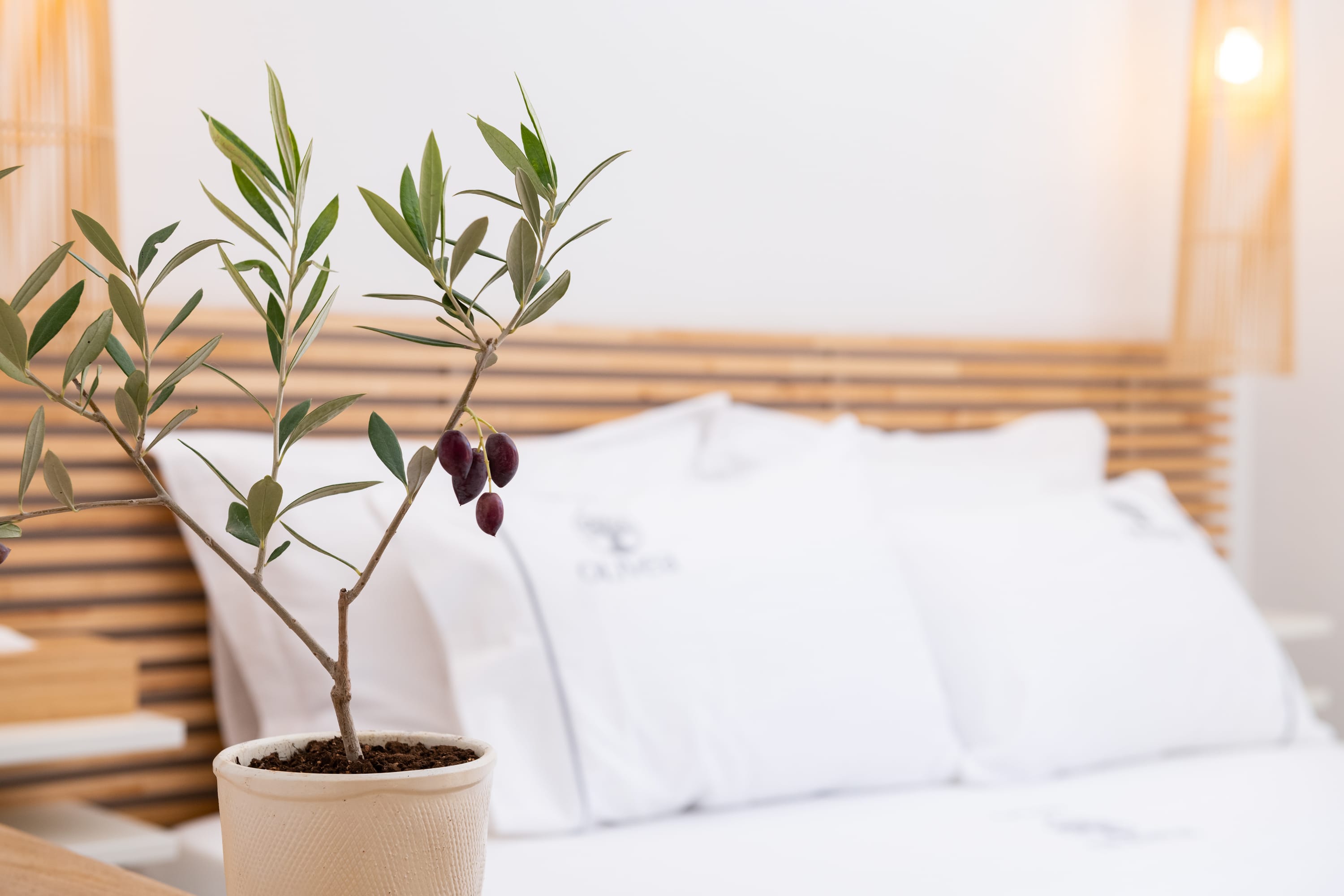 1a.horizontal_0185_olivea