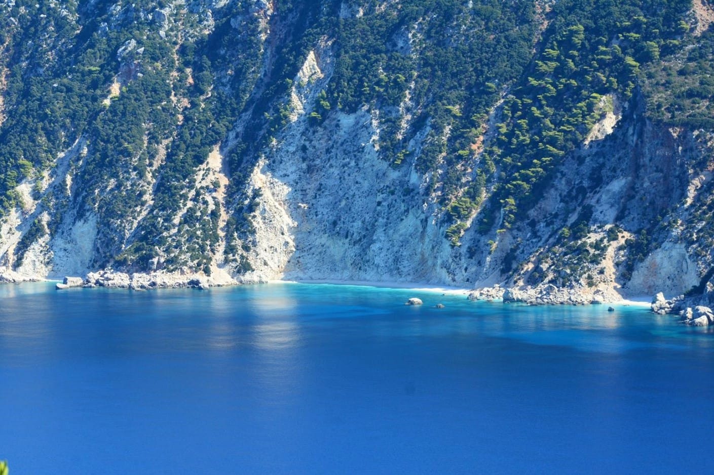 a body of water with trees around it