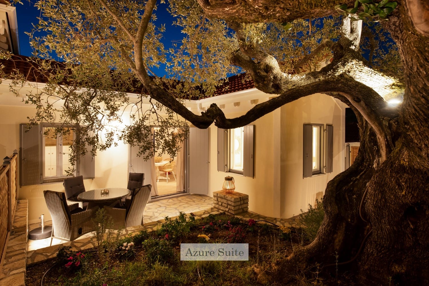 a tree with a house in the background