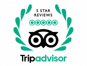 logo, company name