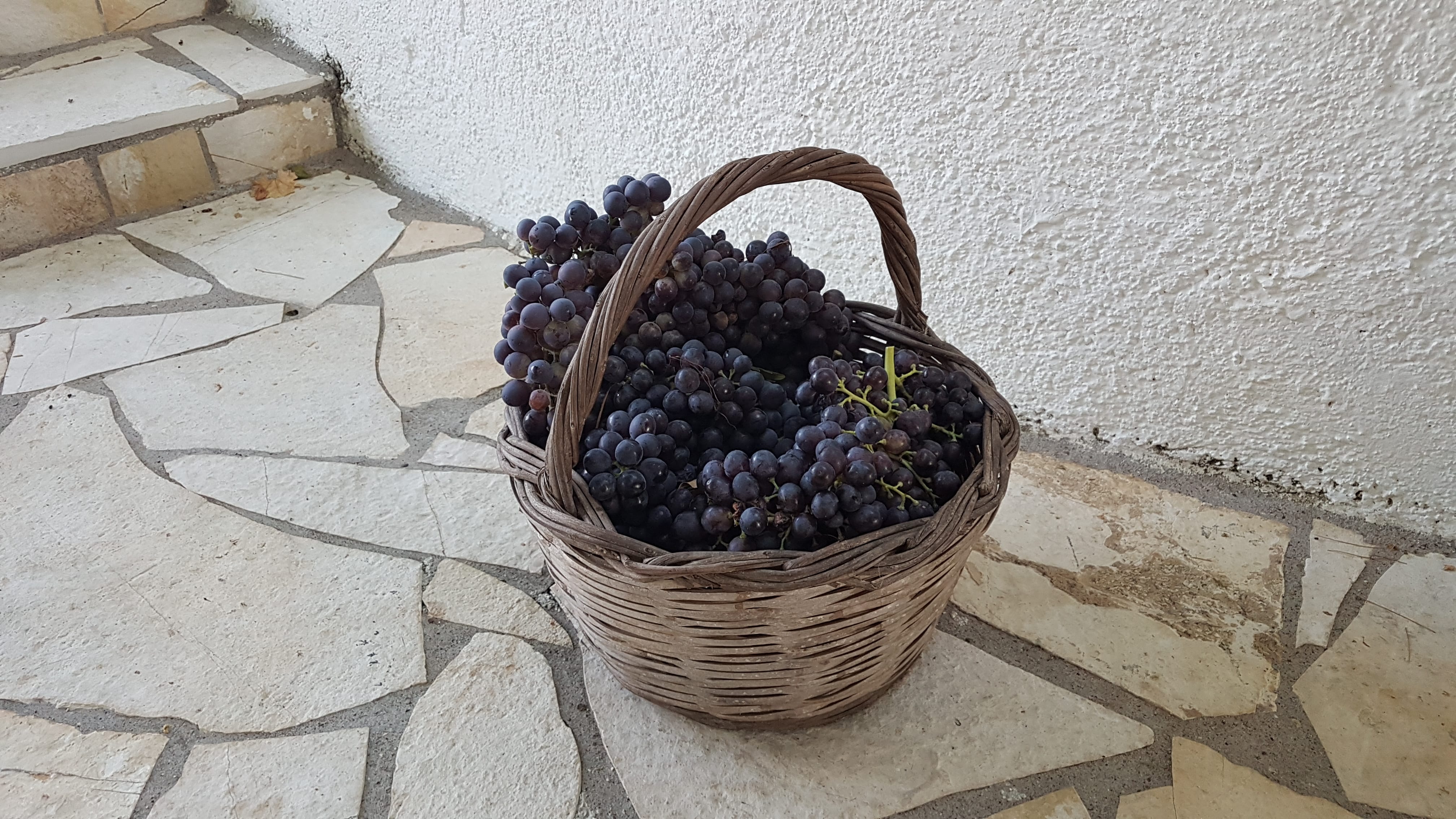 a basket of berries