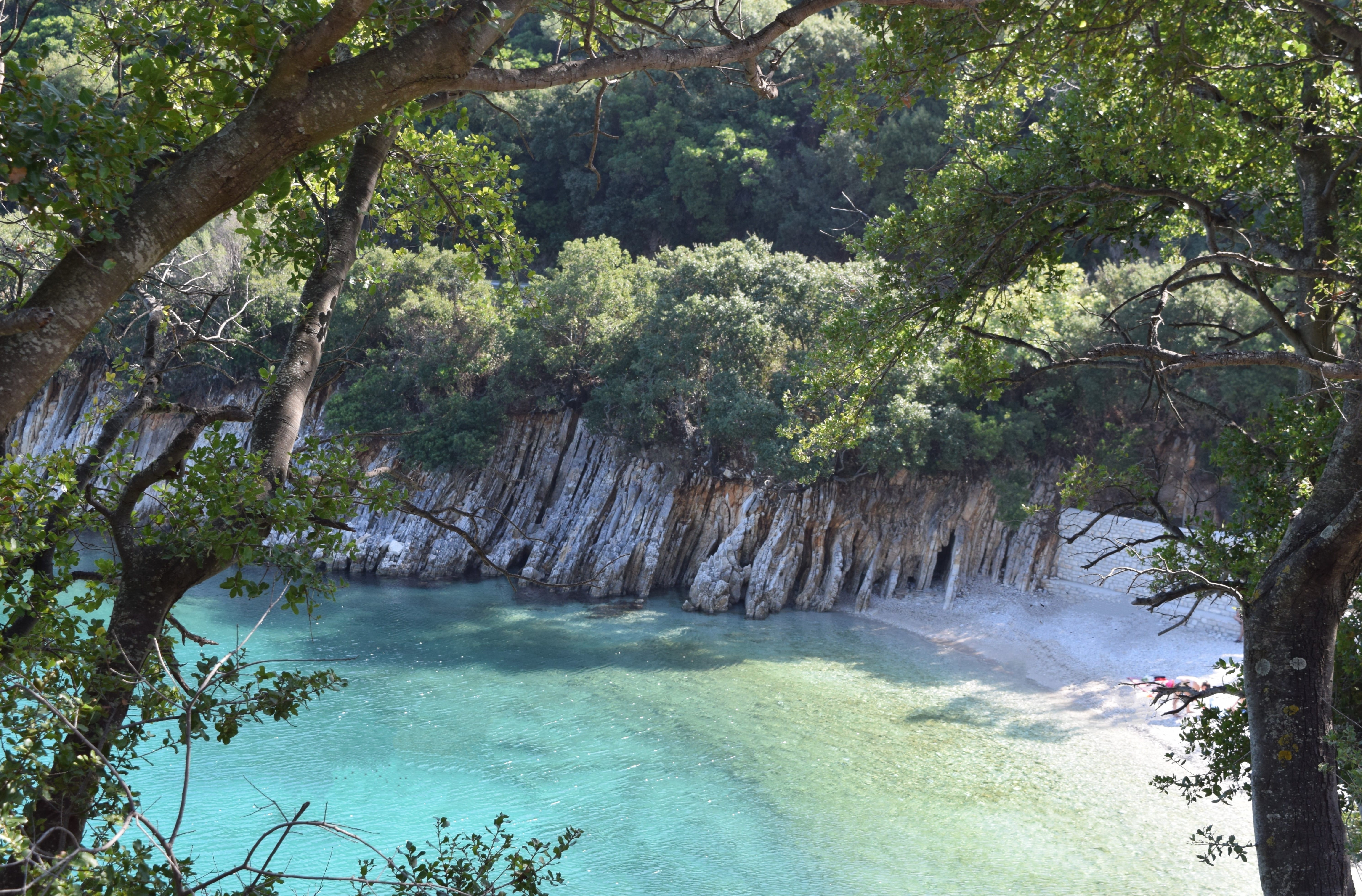 a body of water with trees around it