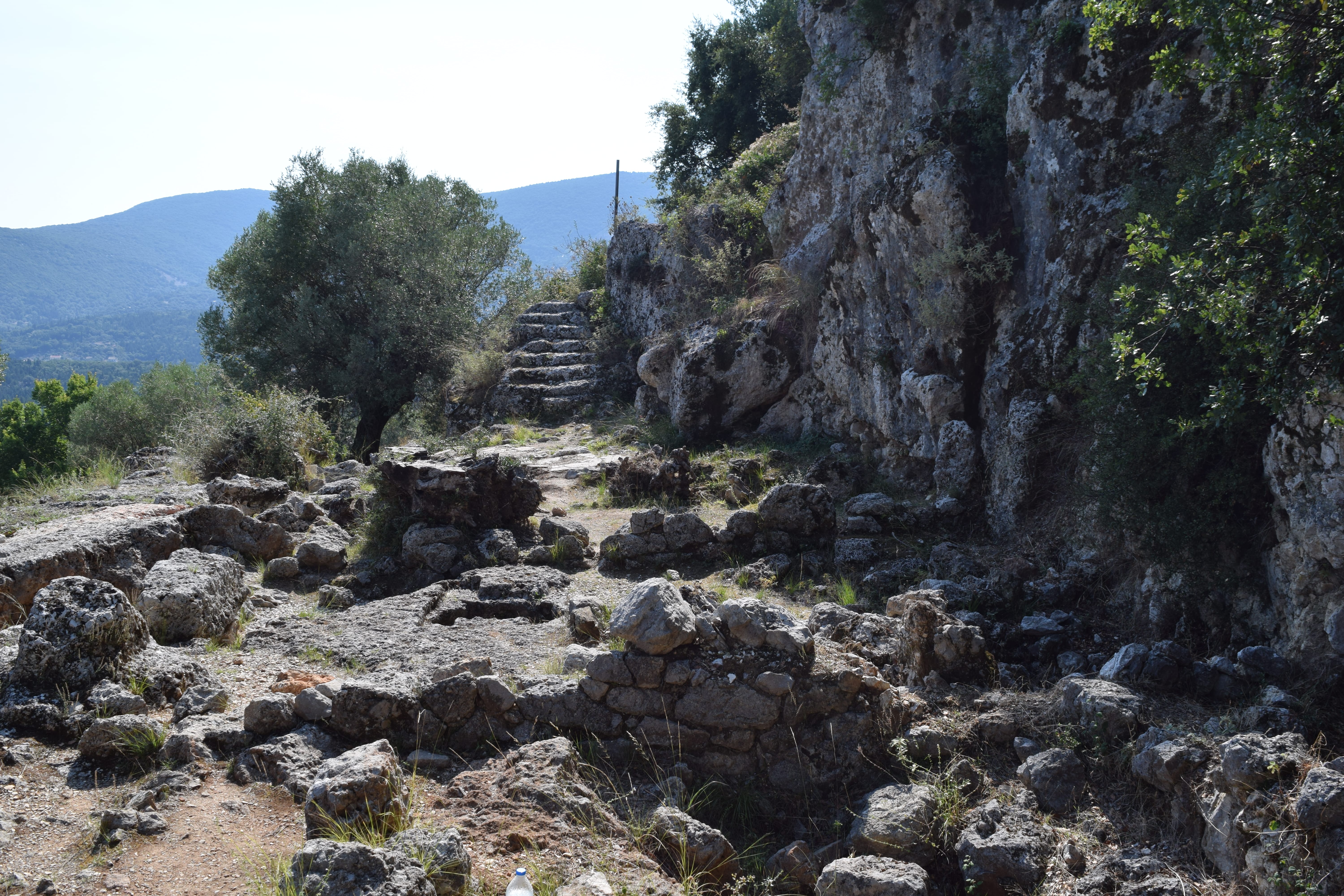a rocky area with trees and rocks