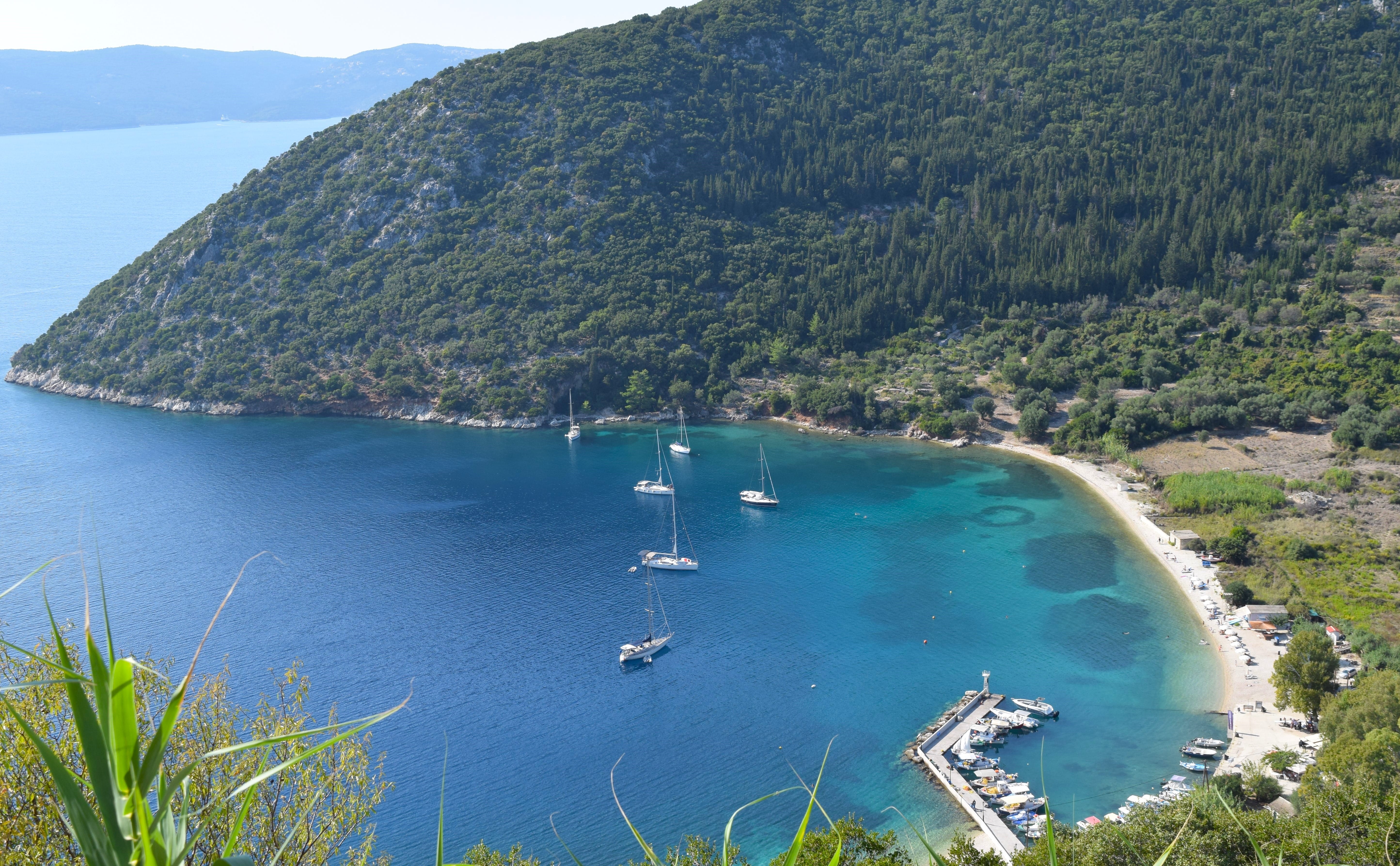 a body of water with boats in it and trees around it
