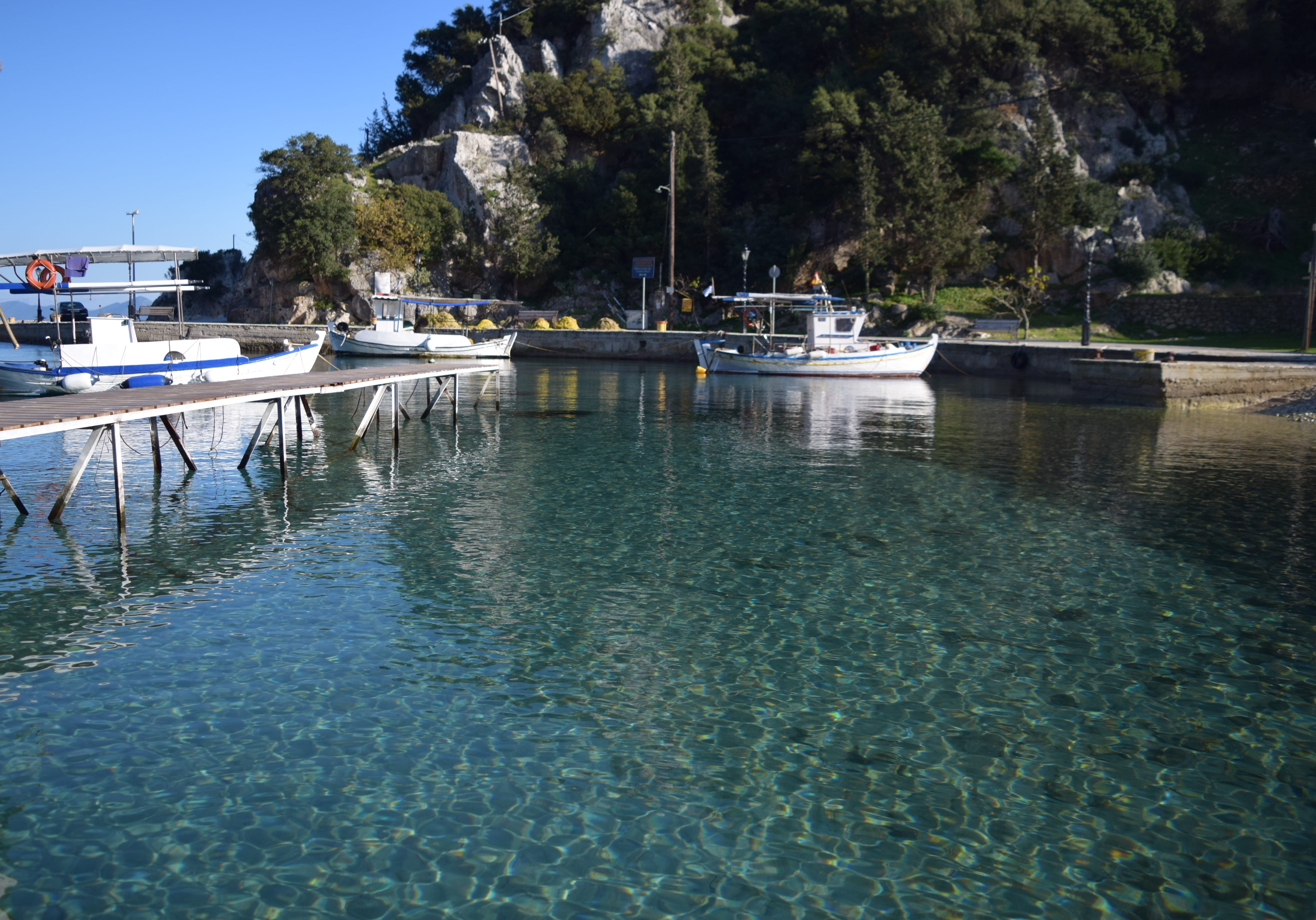 a body of water with boats in it and trees around it
