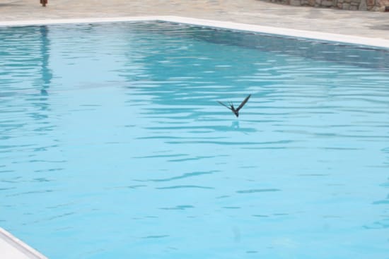 φωτο-ατταβ-048-2