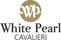logo-1-1