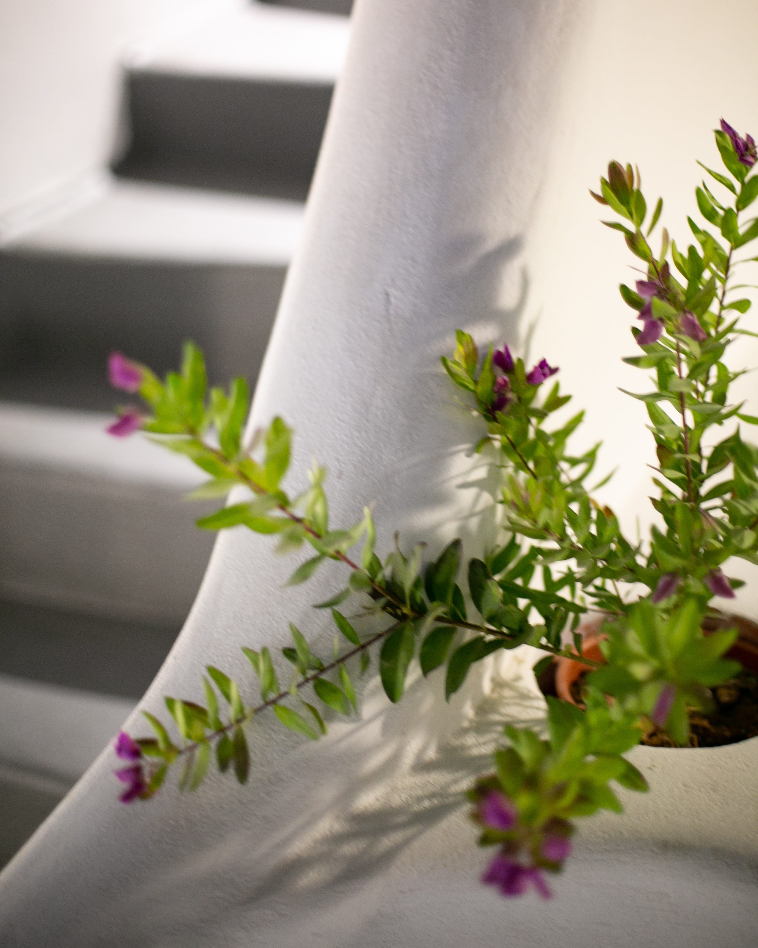 img_20191223_211133_650