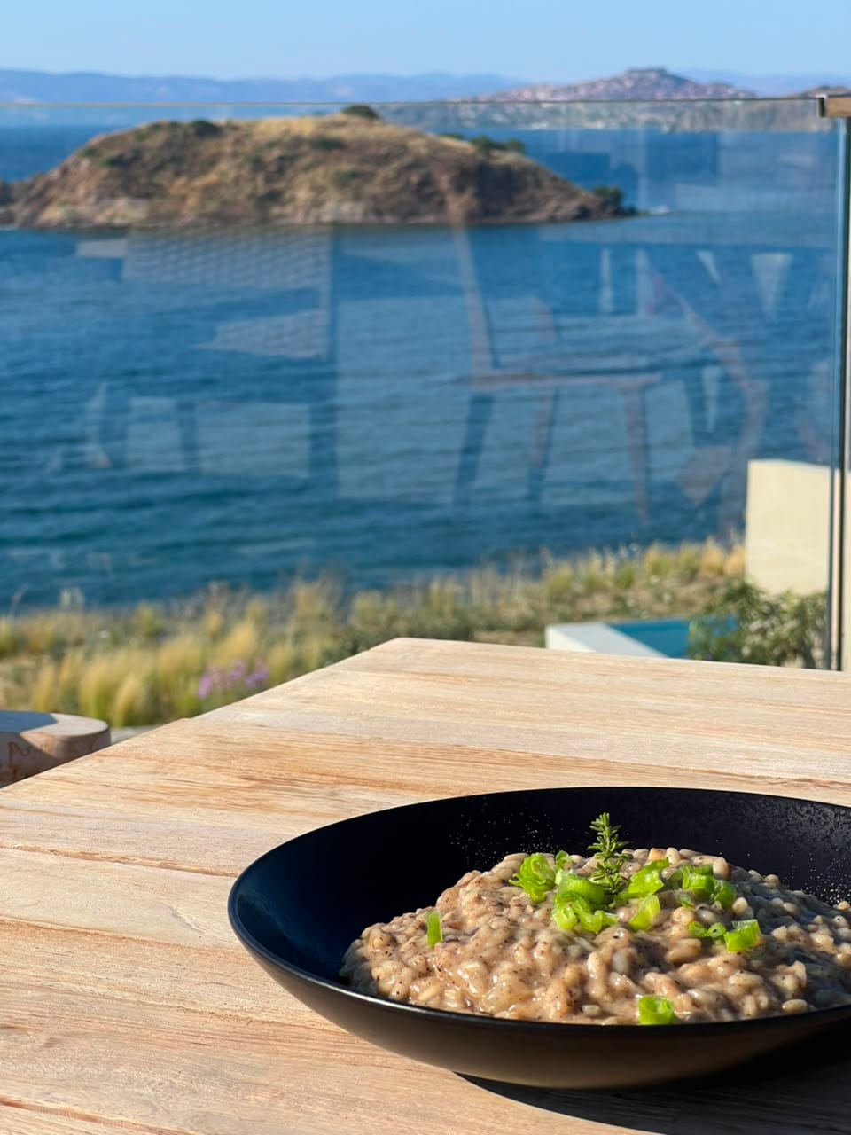 eleia-risotto