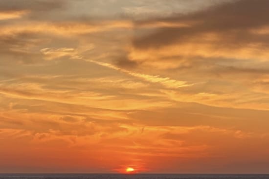 29_c09668d3-6fda-4df2-b95e-0442598fdff8