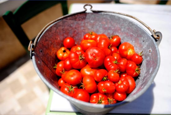 a bowl of cherry tomatoes