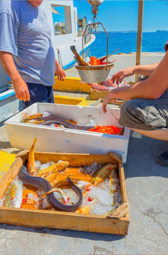 a group of people standing next to a table with fish on it