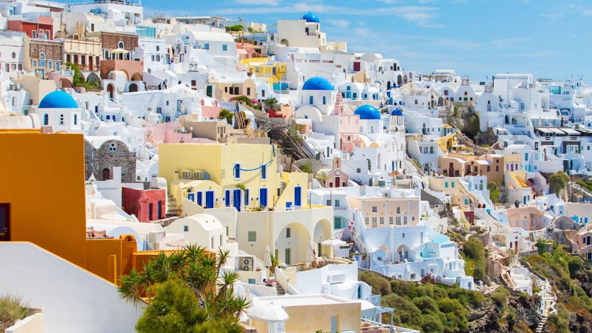 ανωνυμο-σχεδιο-1