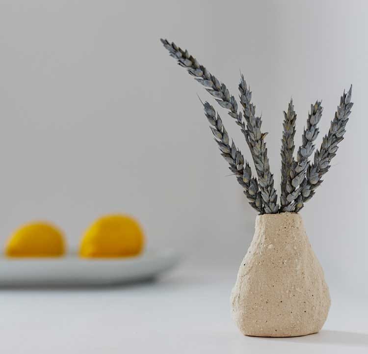 a vase with lemons and a vase with a plant in it