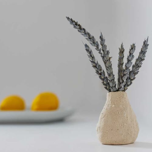 a vase with lemons and a vase with a plant in it