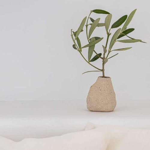 a plant in a pot