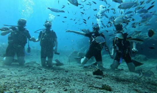 a group of people in scuba gear