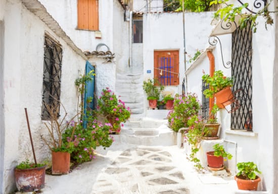 a courtyard with plants and a door