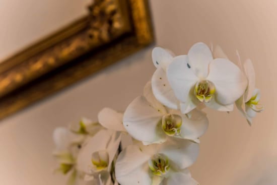 received_2260185730703980