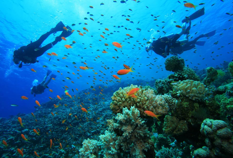 scuba-diving-aok