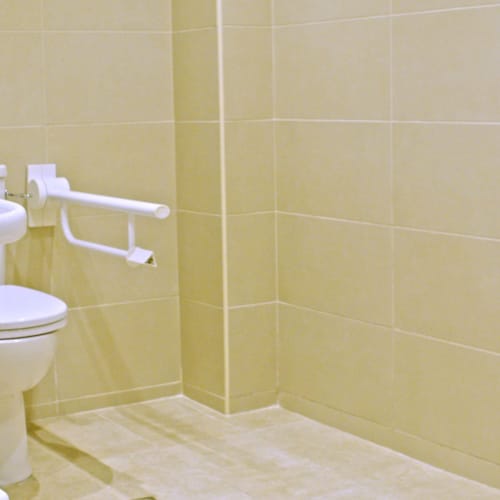 disabled_bathroom_waterlily_hotel_chania