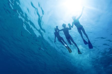 shutterstock_310266890