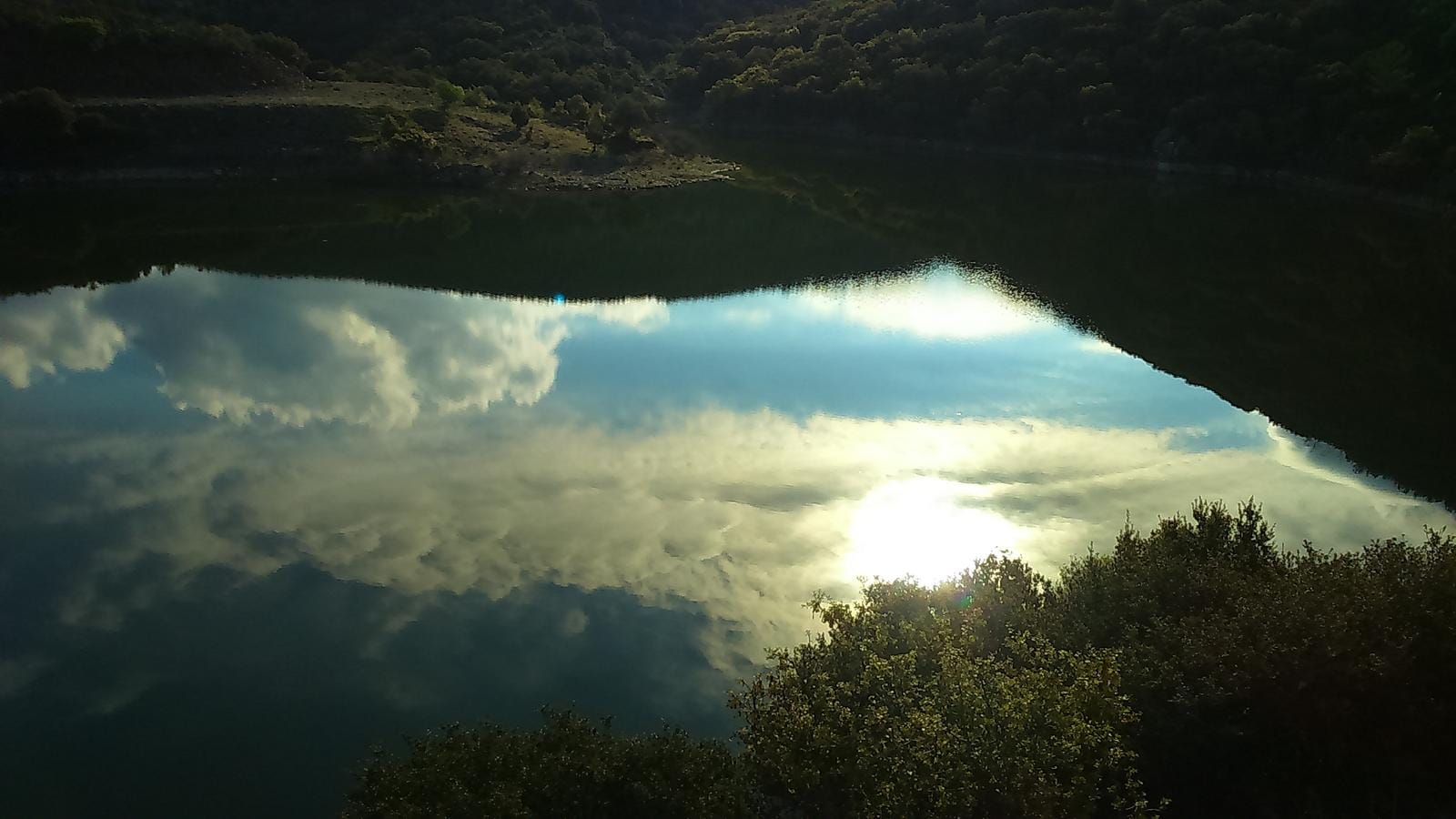 a view of the sun through a hole in a tree