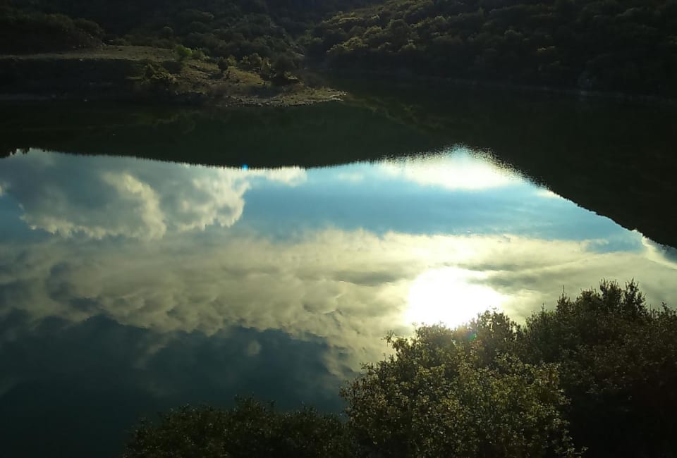 a view of the sun through a hole in a tree