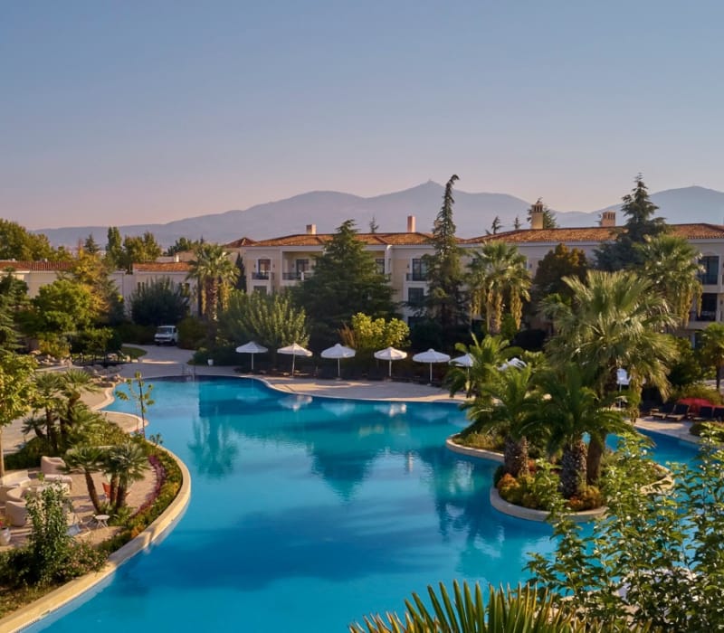 a pool surrounded by trees and buildings