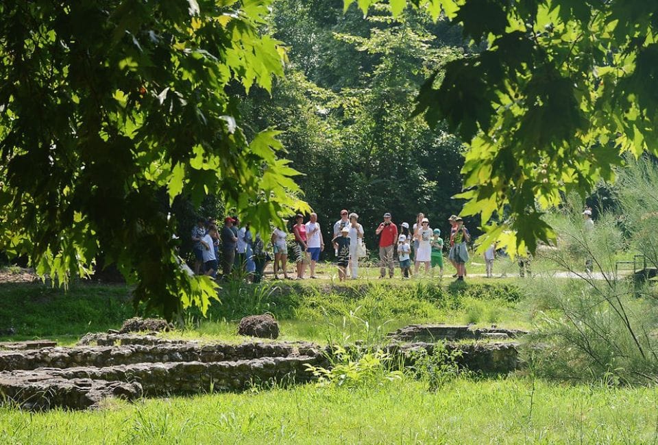 a group of people standing in a park