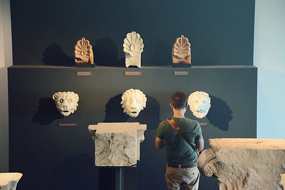 a person looking at a display of stuffed animals