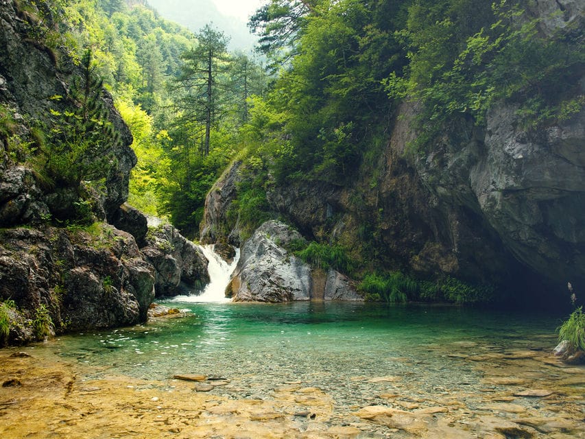 a waterfall in a forest
