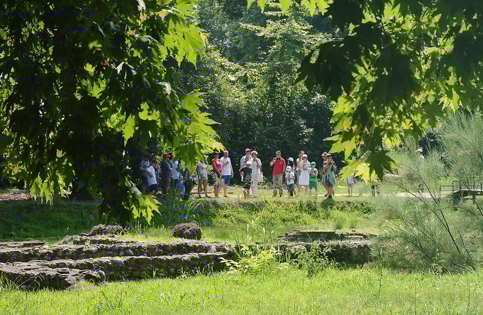 a group of people standing in a park