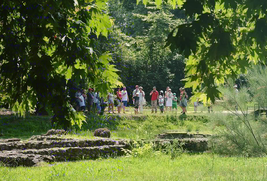 a group of people standing in a park