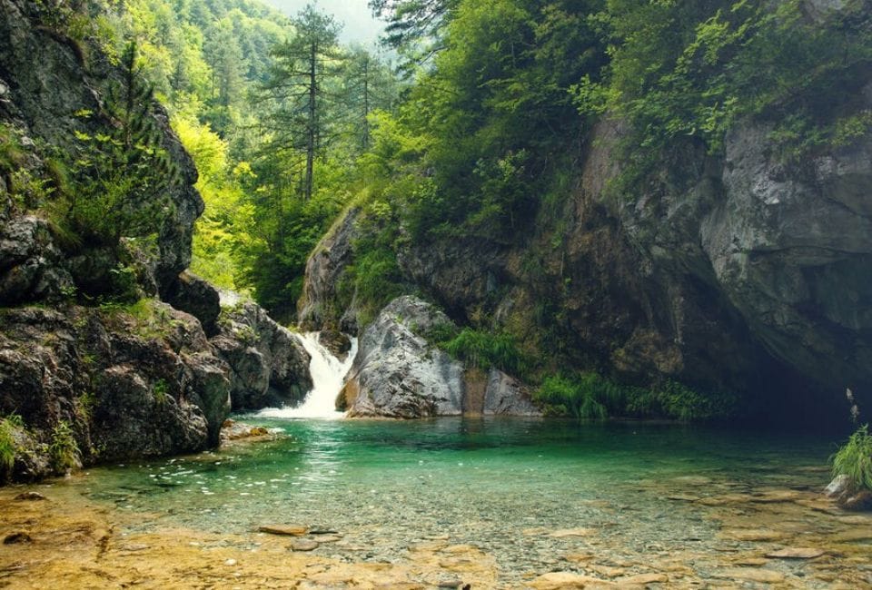 a waterfall in a forest
