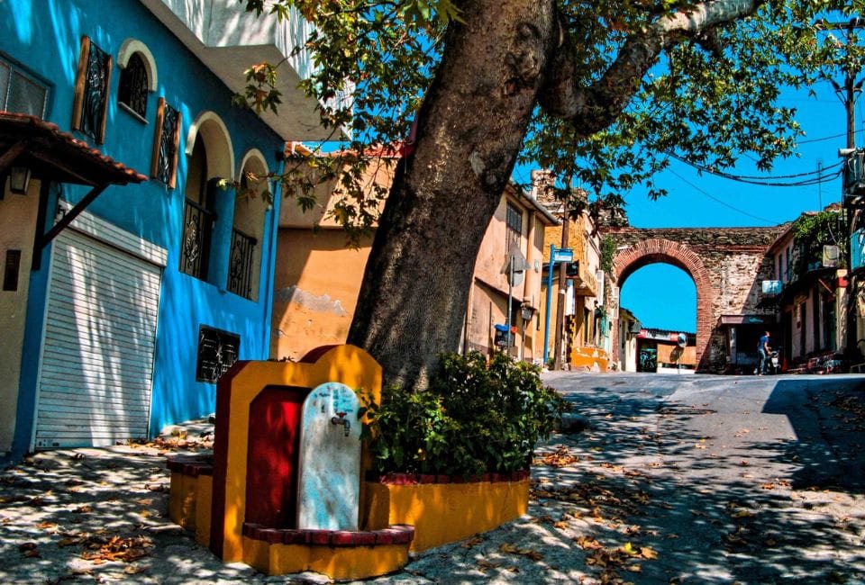 a tree in a courtyard