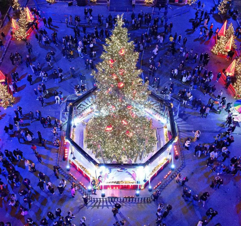 a large christmas tree with lights