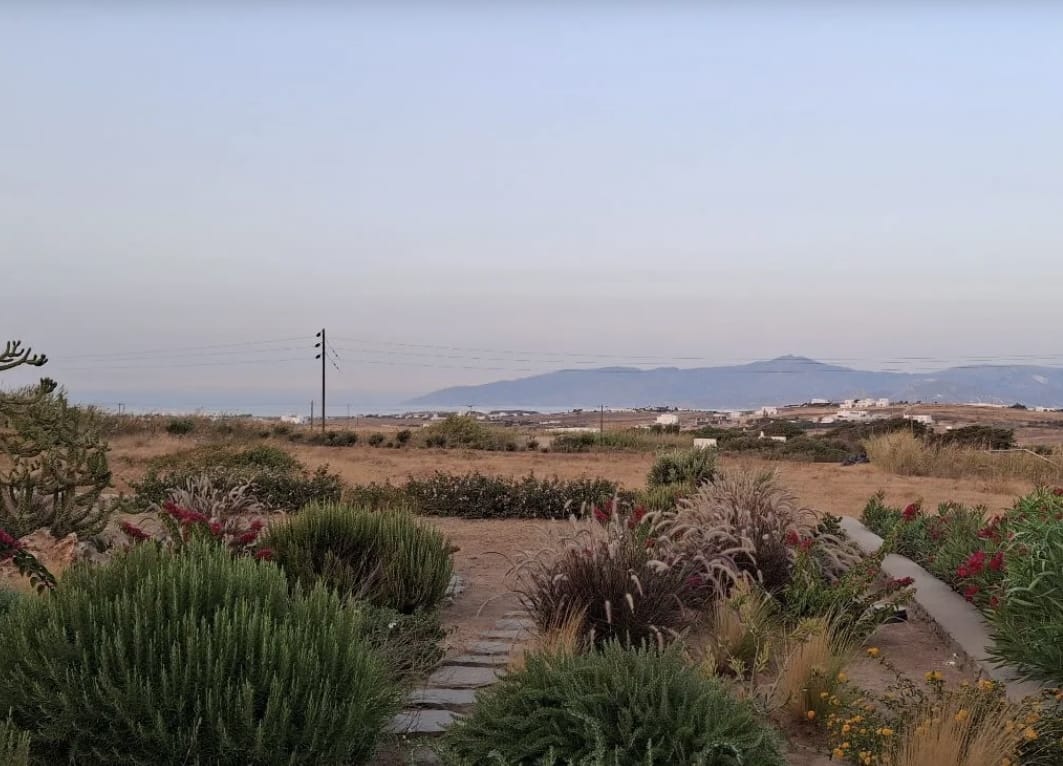 a road through a desert