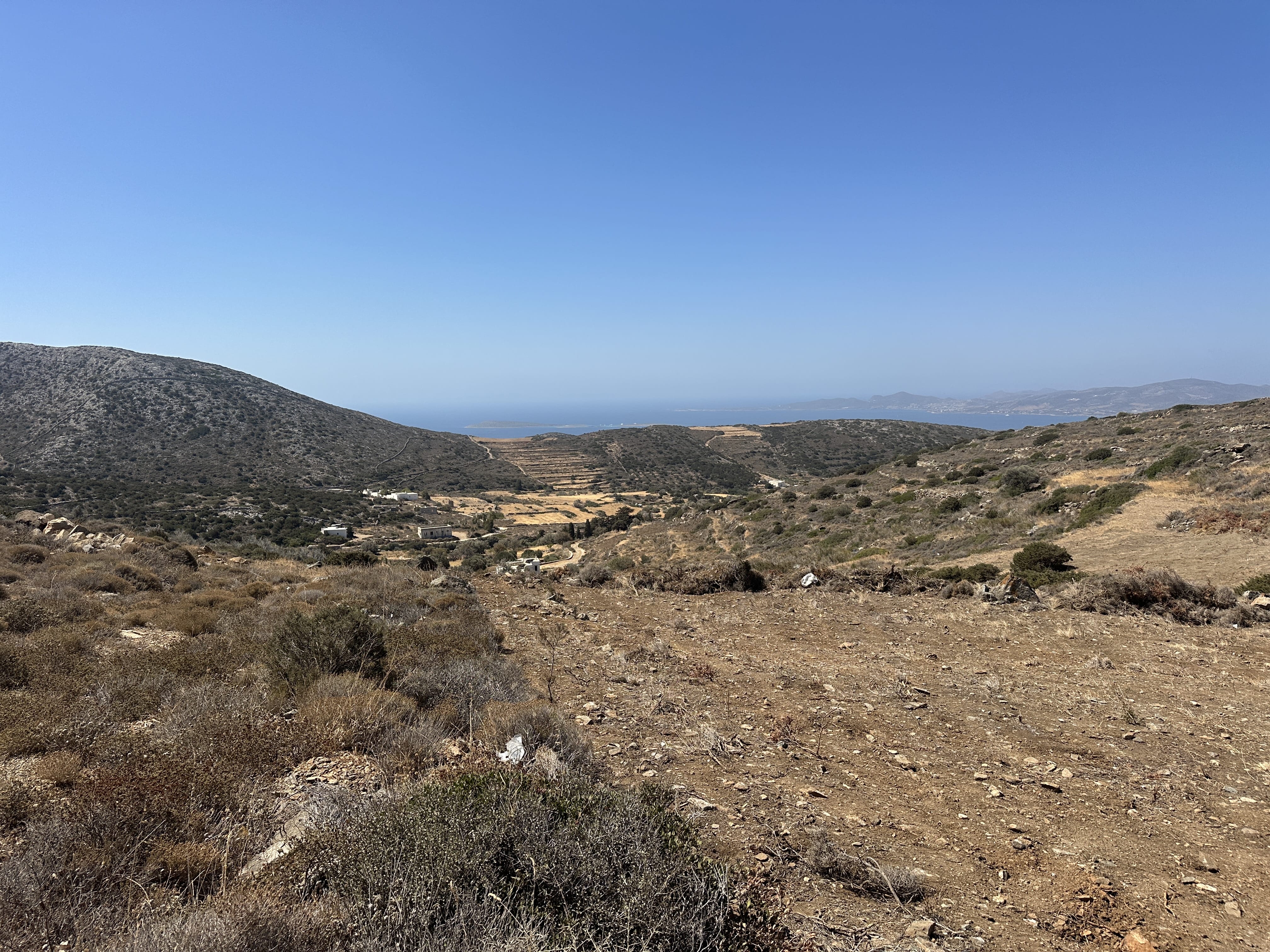 a landscape with hills and bushes