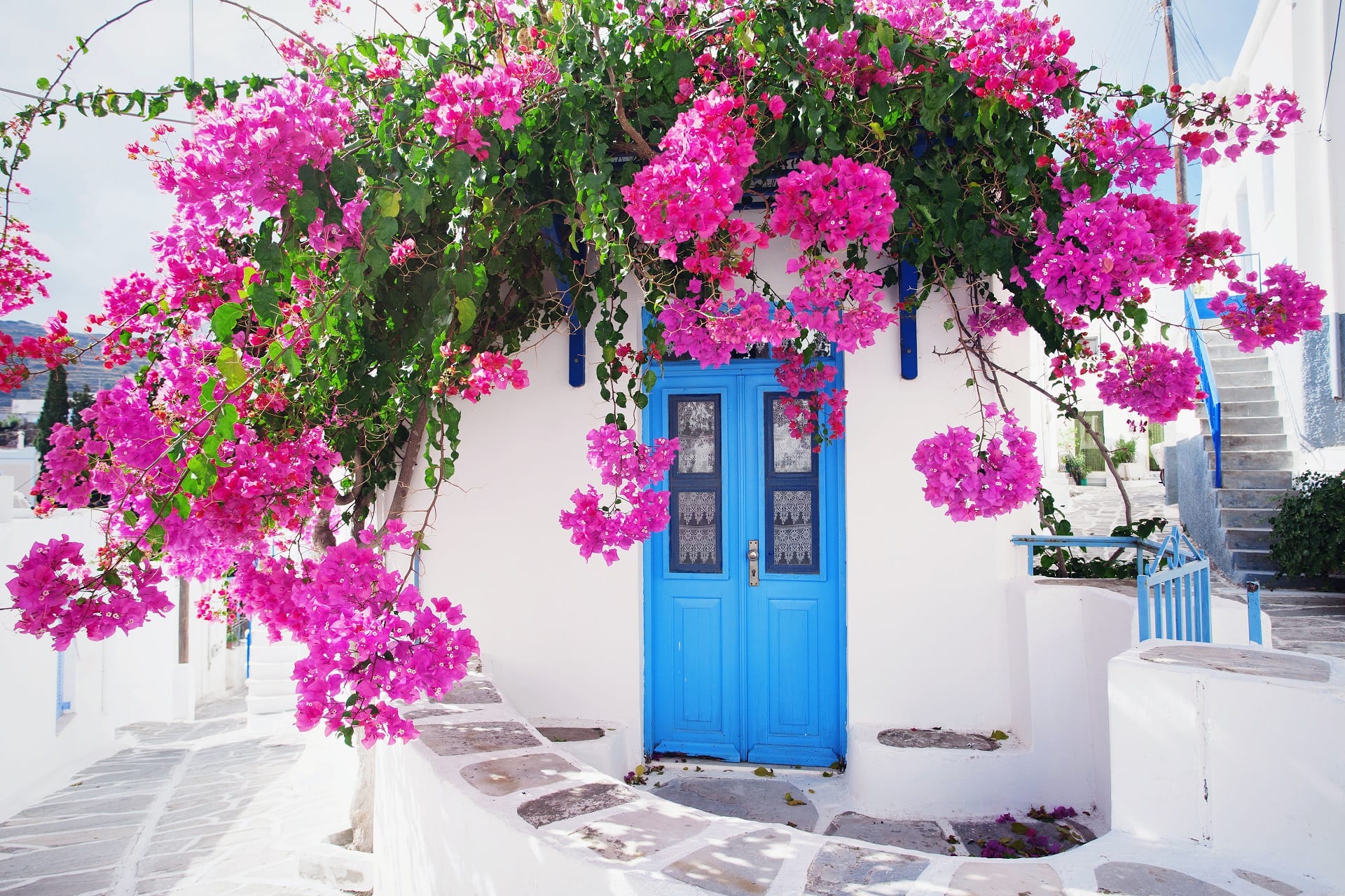 traditional-greek-house-with-flowers-in-paros-island-greece_336328574