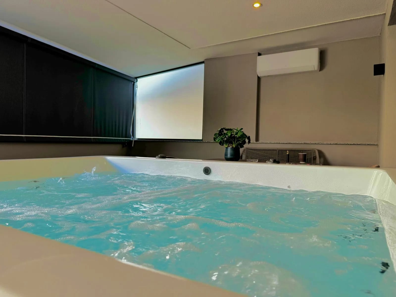 a swimming pool with a plant in it